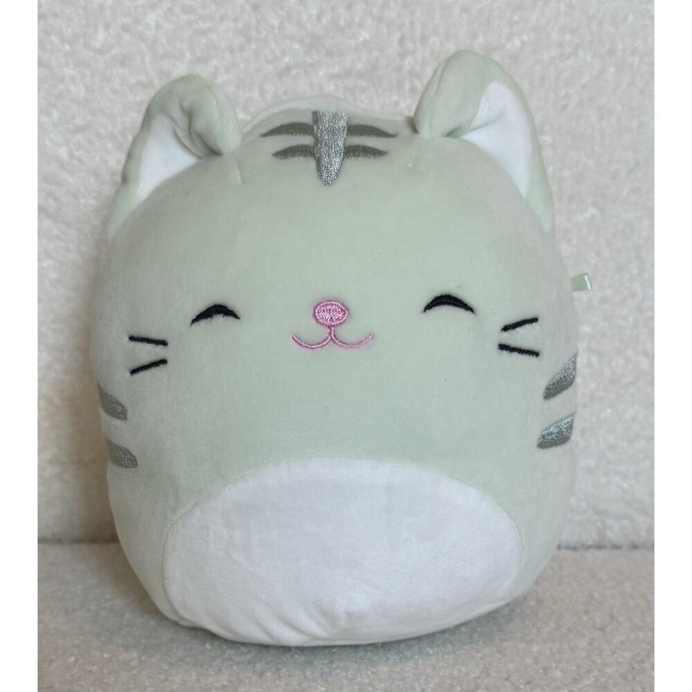 Squishmallows Chase the Cat 7" Stuffed Plush 2022 Mint Green Soft Plushie